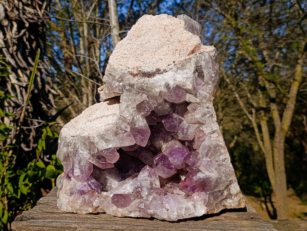 Natural XL Jacaranda Amethyst Crystal Cluster x 1 From Mumbwa, Zambia - Toprock Gemstones and Minerals 