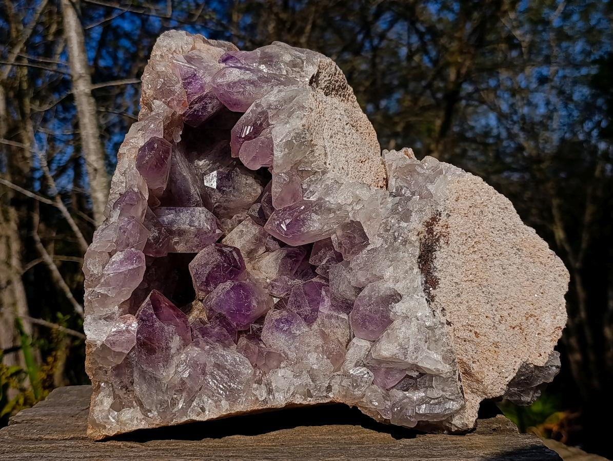 Natural XL Jacaranda Amethyst Crystal Cluster x 1 From Mumbwa, Zambia - Toprock Gemstones and Minerals 
