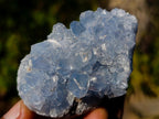 Natural Blue Celestite Specimens x 38 From Sakoany, Madagascar - Toprock Gemstones and Minerals 