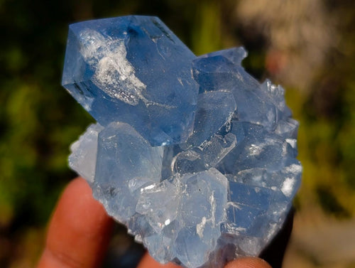 Natural Blue Celestite Specimens x 38 From Sakoany, Madagascar - Toprock Gemstones and Minerals 