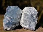 Natural Blue Celestite Specimens x 38 From Sakoany, Madagascar - Toprock Gemstones and Minerals 