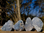 Natural Blue Celestite Specimens x 38 From Sakoany, Madagascar - Toprock Gemstones and Minerals 