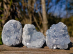 Natural Blue Celestite Specimens x 38 From Sakoany, Madagascar - Toprock Gemstones and Minerals 