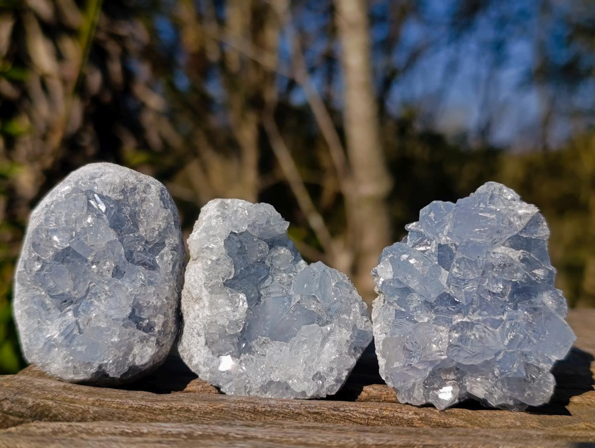 Natural Blue Celestite Specimens x 38 From Sakoany, Madagascar - Toprock Gemstones and Minerals 