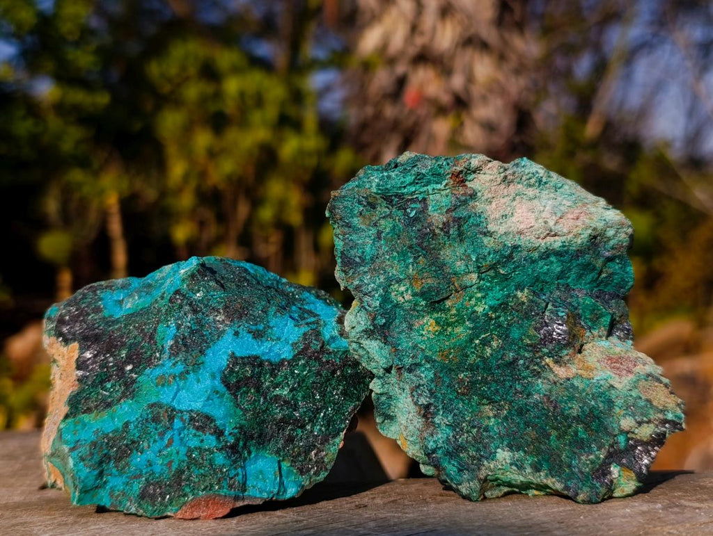 Natural Cobbed Shattuckite Specimens with Cuprite and Malachite x 5 From Kaokoveld, Namibia - Toprock Gemstones and Minerals 