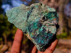 Natural Cobbed Shattuckite Specimens with Cuprite and Malachite x 5 From Kaokoveld, Namibia - Toprock Gemstones and Minerals 