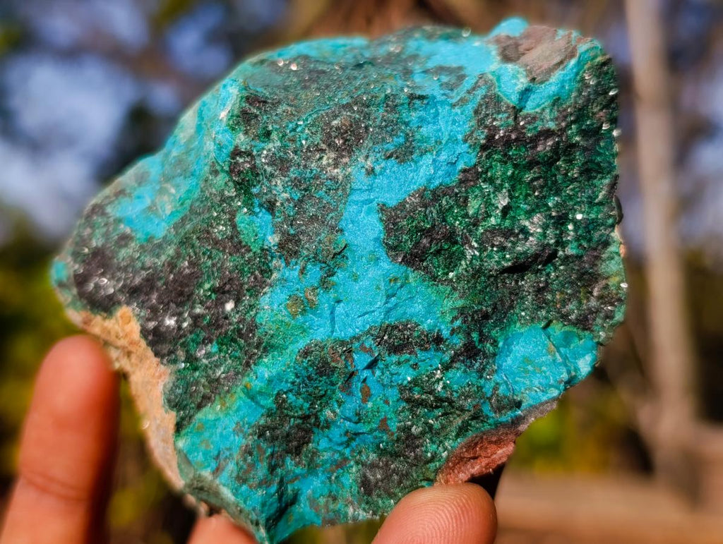 Natural Cobbed Shattuckite Specimens with Cuprite and Malachite x 5 From Kaokoveld, Namibia - Toprock Gemstones and Minerals 