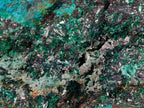 Natural Cobbed Shattuckite Specimens with Cuprite and Malachite x 5 From Kaokoveld, Namibia - Toprock Gemstones and Minerals 