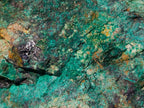 Natural Cobbed Shattuckite Specimens with Cuprite and Malachite x 5 From Kaokoveld, Namibia - Toprock Gemstones and Minerals 