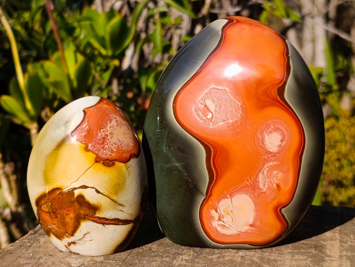 Polished Polychrome Jasper Standing Display Pieces x 3 From NW Coast, Madagascar - Toprock Gemstones and Minerals 