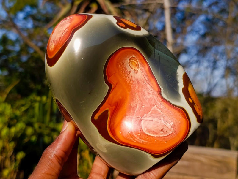 Polished Polychrome Jasper Standing Display Pieces x 3 From NW Coast, Madagascar - Toprock Gemstones and Minerals 