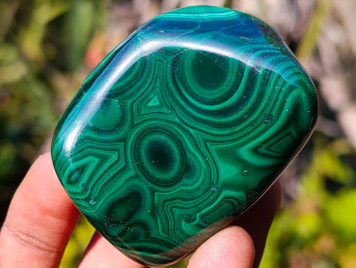 Polished Flower Banded Malachite Free Forms x 12 From Congo - Toprock Gemstones and Minerals 