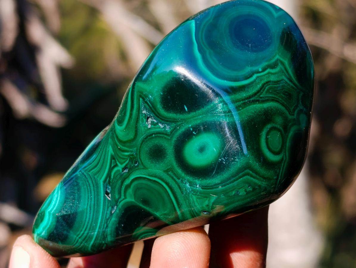 Polished Flower Banded Malachite Free Forms x 12 From Congo - Toprock Gemstones and Minerals 
