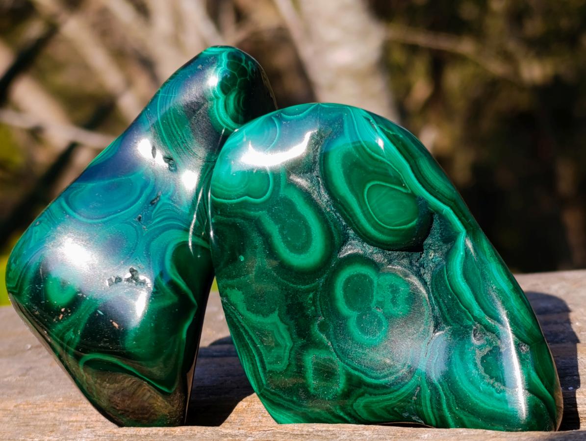 Polished Flower Banded Malachite Free Forms x 12 From Congo - Toprock Gemstones and Minerals 