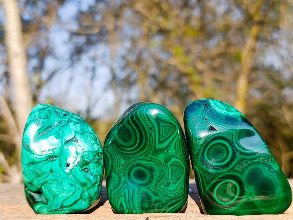 Polished Flower Banded Malachite Free Forms x 12 From Congo - Toprock Gemstones and Minerals 