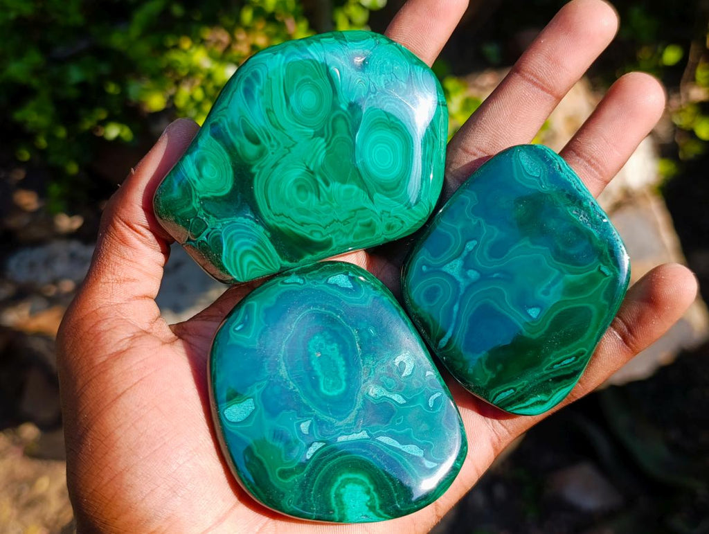 Polished Flower Banded Malachite Free Forms x 12 From Congo - Toprock Gemstones and Minerals 