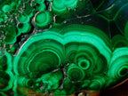Polished Flower Banded Malachite Free Forms x 12 From Congo - Toprock Gemstones and Minerals 
