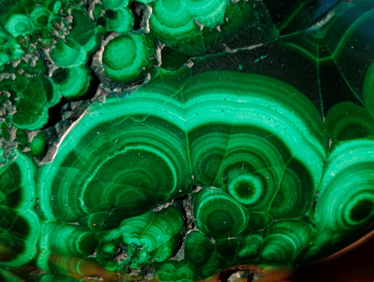 Polished Flower Banded Malachite Free Forms x 12 From Congo - Toprock Gemstones and Minerals 