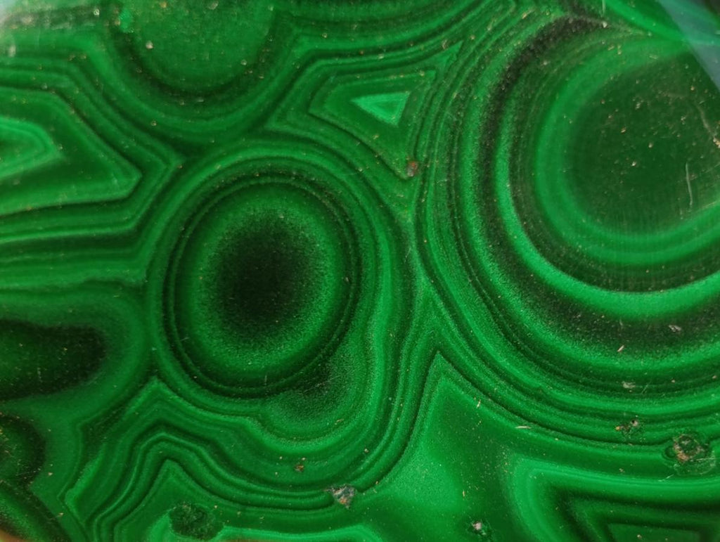 Polished Flower Banded Malachite Free Forms x 12 From Congo - Toprock Gemstones and Minerals 