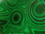 Polished Flower Banded Malachite Free Forms x 12 From Congo - Toprock Gemstones and Minerals 