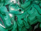 Polished Flower Banded Malachite Free Forms x 12 From Congo - Toprock Gemstones and Minerals 