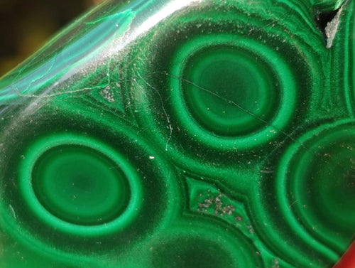 Polished Flower Banded Malachite Free Forms x 12 From Congo - Toprock Gemstones and Minerals 