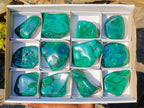 Polished Flower Banded Malachite Free Forms x 12 From Congo - Toprock Gemstones and Minerals 