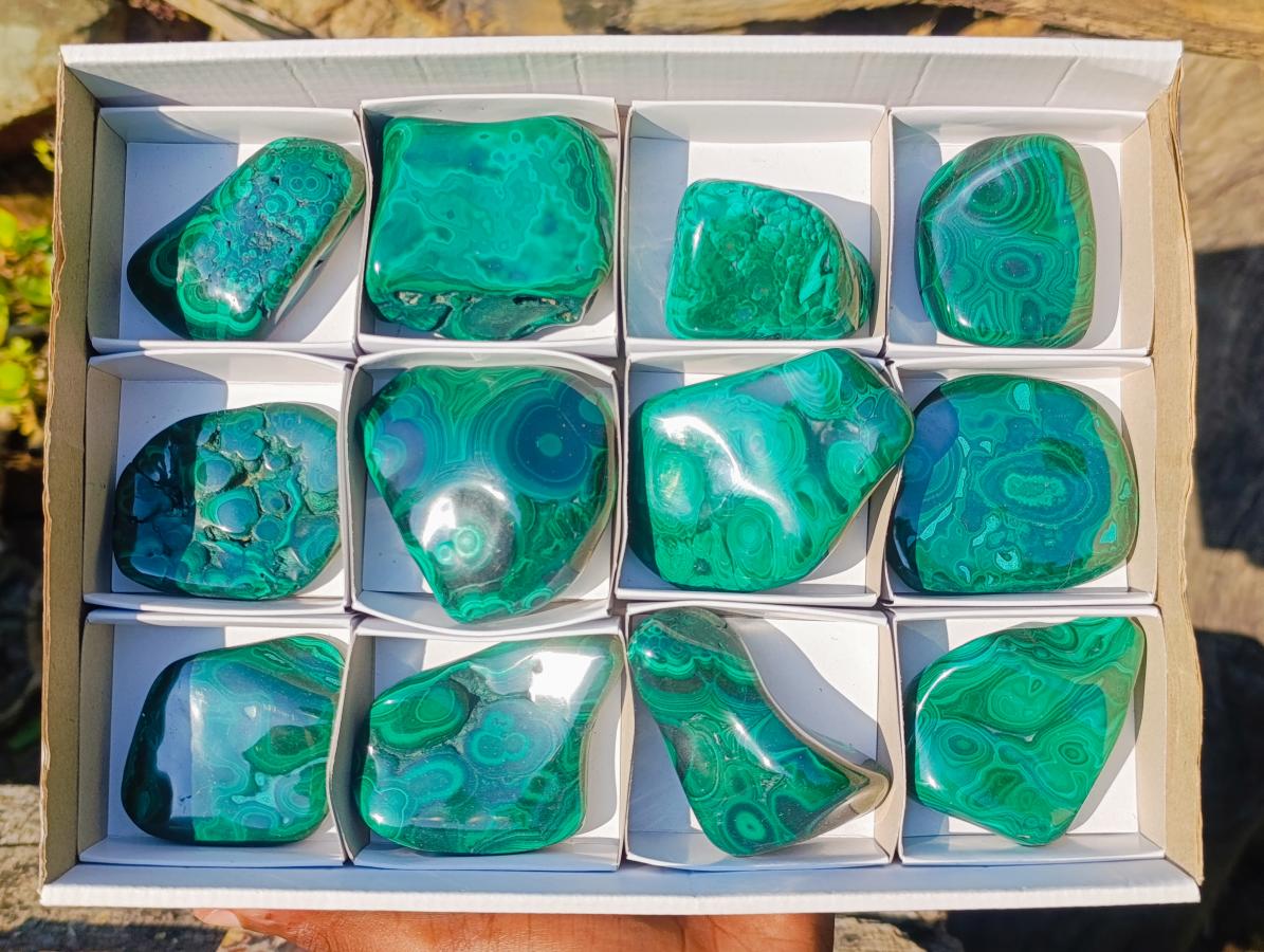 Polished Flower Banded Malachite Free Forms x 12 From Congo - Toprock Gemstones and Minerals 