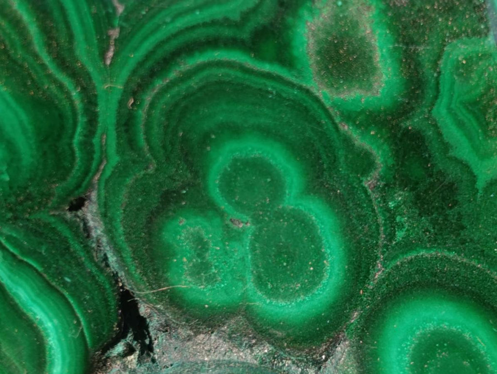 Polished Flower Banded Malachite Free Forms x 12 From Congo - Toprock Gemstones and Minerals 