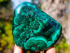 Polished Flower Banded Malachite Free Forms x 12 From Congo - Toprock Gemstones and Minerals 