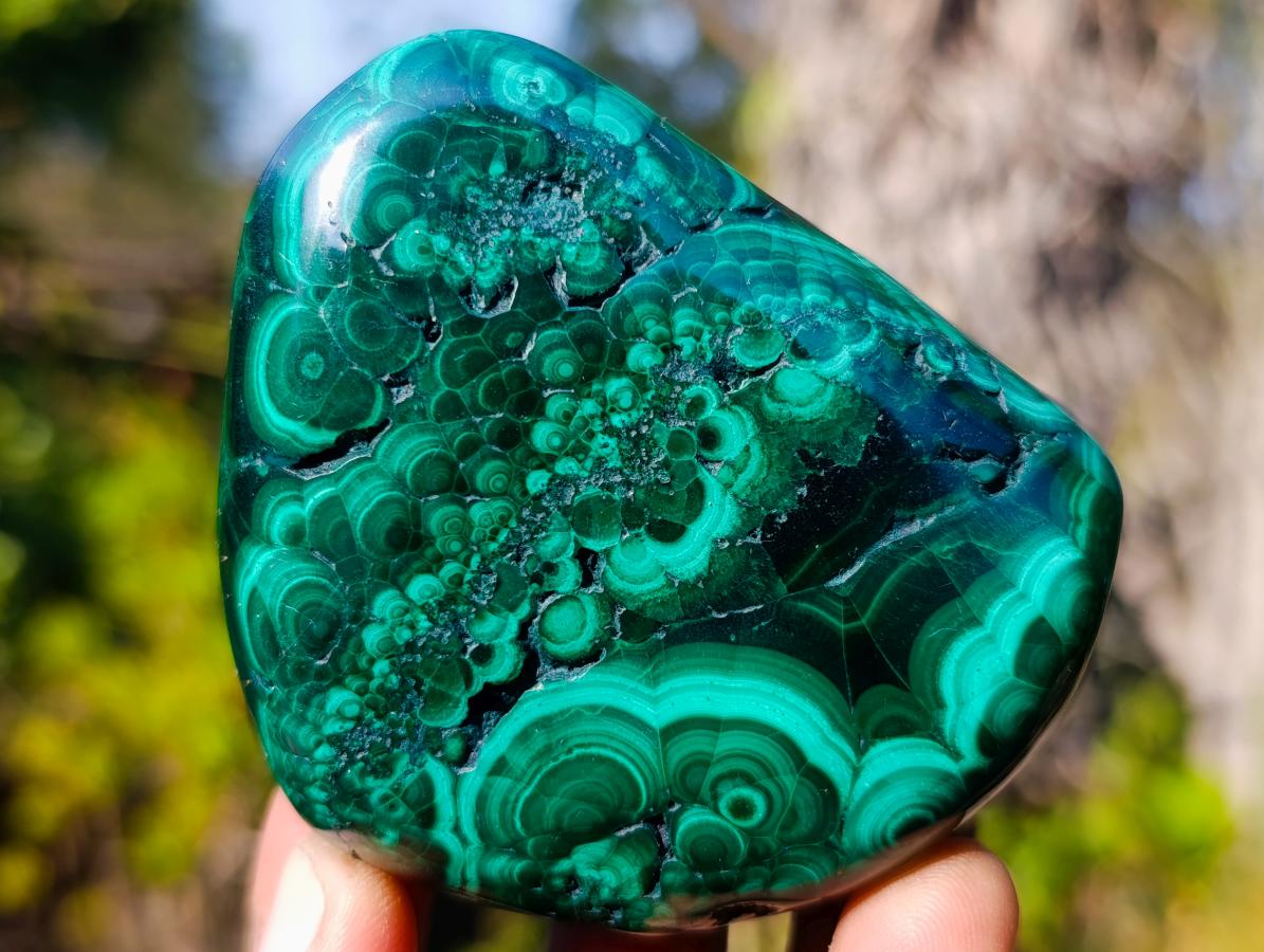Polished Flower Banded Malachite Free Forms x 12 From Congo - Toprock Gemstones and Minerals 