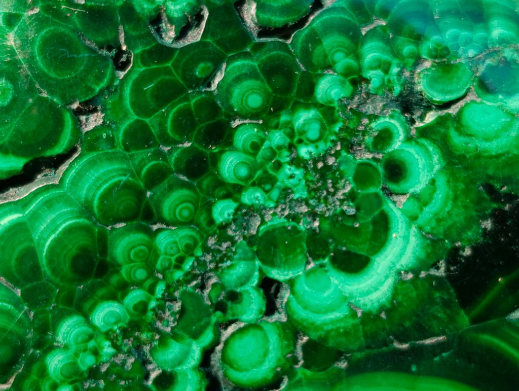 Polished Flower Banded Malachite Free Forms x 12 From Congo - Toprock Gemstones and Minerals 