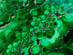Polished Flower Banded Malachite Free Forms x 12 From Congo - Toprock Gemstones and Minerals 