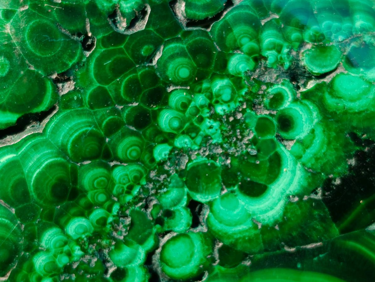 Polished Flower Banded Malachite Free Forms x 12 From Congo - Toprock Gemstones and Minerals 