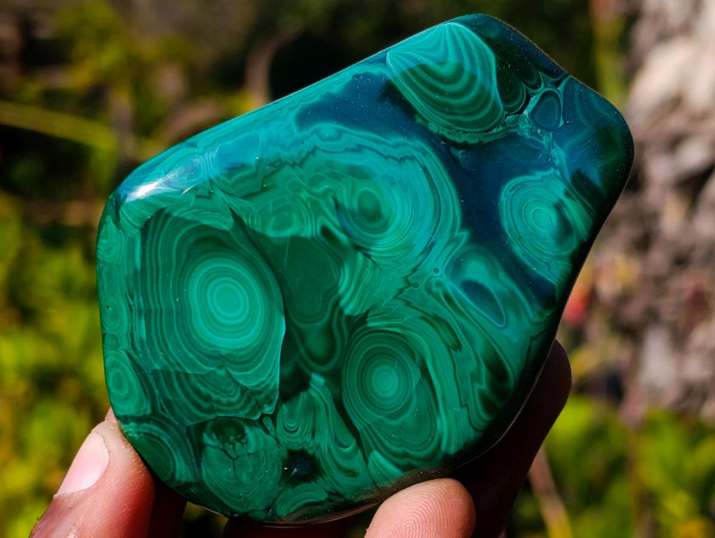 Polished Flower Banded Malachite Free Forms x 12 From Congo - Toprock Gemstones and Minerals 