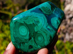 Polished Flower Banded Malachite Free Forms x 12 From Congo - Toprock Gemstones and Minerals 