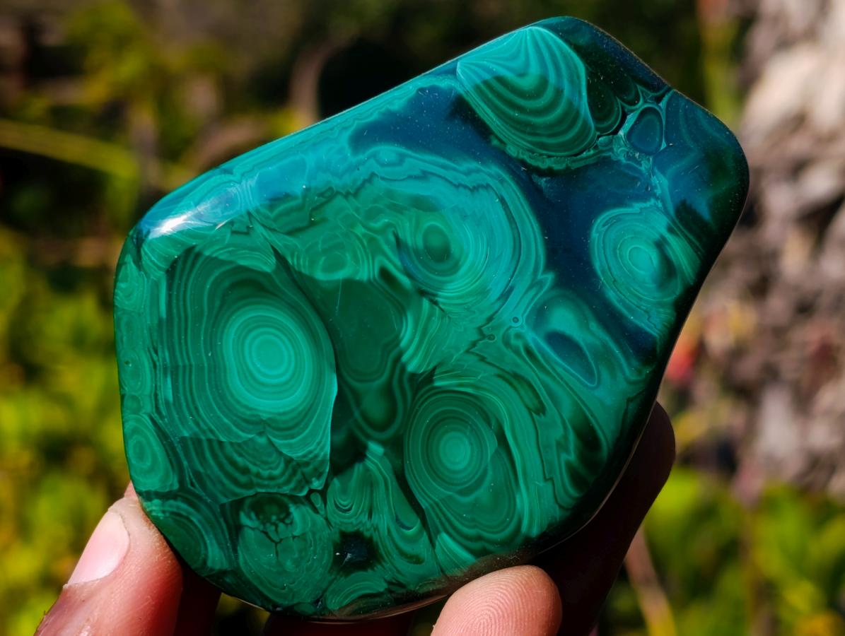 Polished Flower Banded Malachite Free Forms x 12 From Congo - Toprock Gemstones and Minerals 
