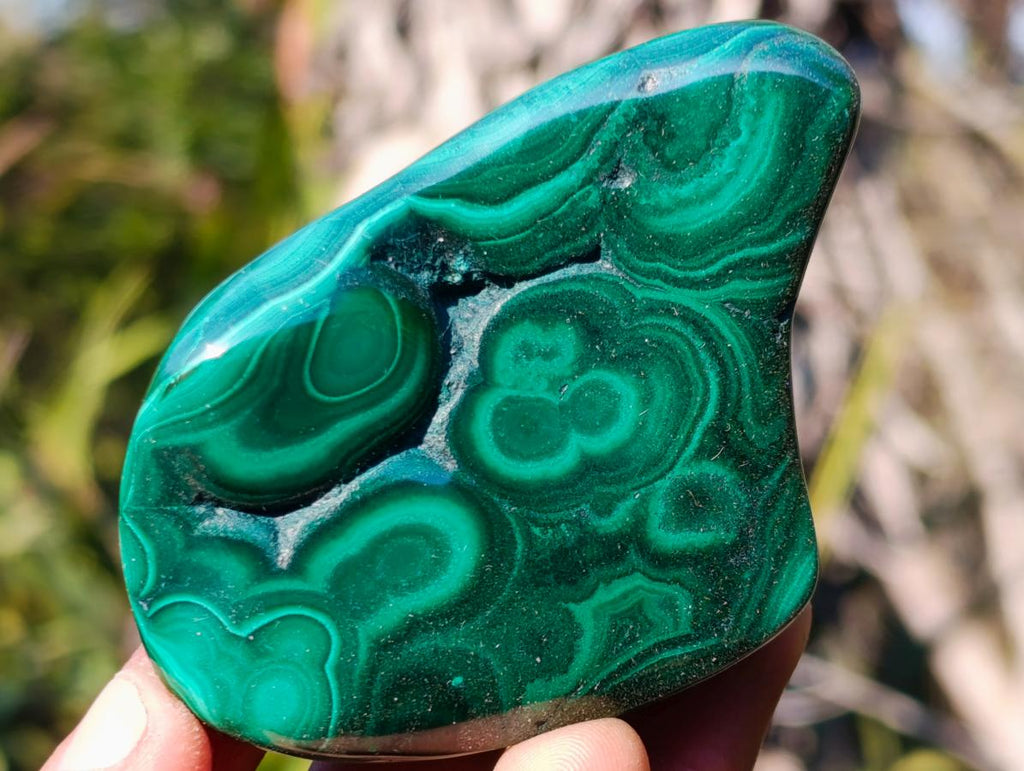 Polished Flower Banded Malachite Free Forms x 12 From Congo - Toprock Gemstones and Minerals 