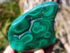 Polished Flower Banded Malachite Free Forms x 12 From Congo - Toprock Gemstones and Minerals 