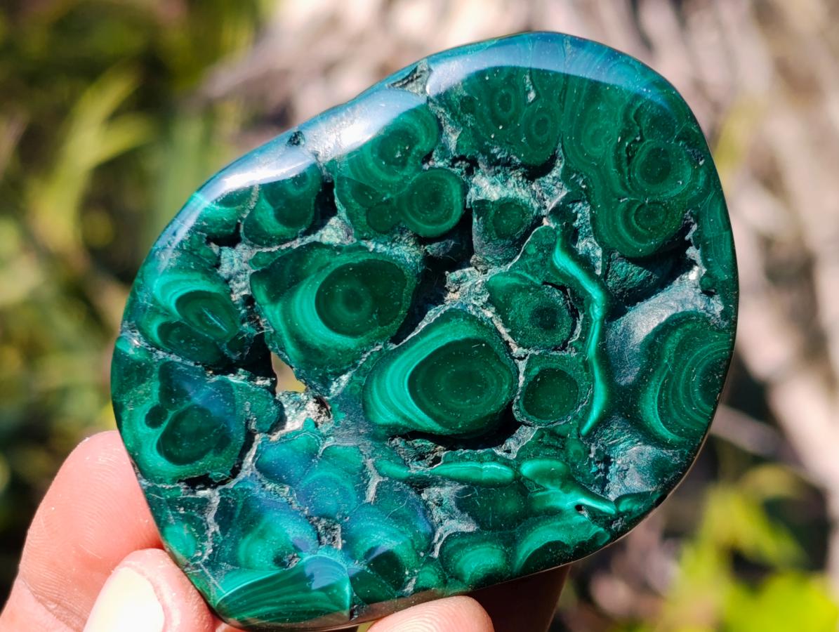 Polished Flower Banded Malachite Free Forms x 12 From Congo - Toprock Gemstones and Minerals 