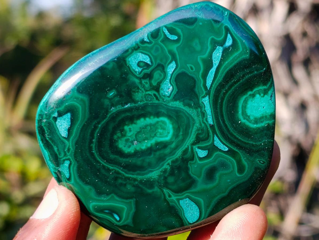 Polished Flower Banded Malachite Free Forms x 12 From Congo - Toprock Gemstones and Minerals 
