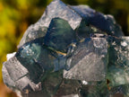 Natural Green Cubic Fluorite Specimens x 6 From Mandrosonoro, Madagascar - Toprock Gemstones and Minerals 