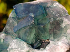 Natural Green Cubic Fluorite Specimens x 6 From Mandrosonoro, Madagascar - Toprock Gemstones and Minerals 