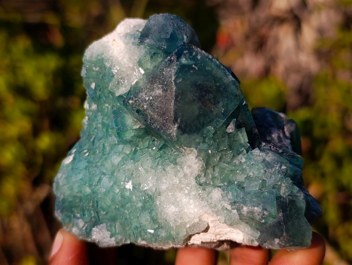Natural Green Cubic Fluorite Specimens x 6 From Mandrosonoro, Madagascar - Toprock Gemstones and Minerals 