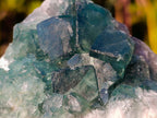 Natural Green Cubic Fluorite Specimens x 6 From Mandrosonoro, Madagascar - Toprock Gemstones and Minerals 