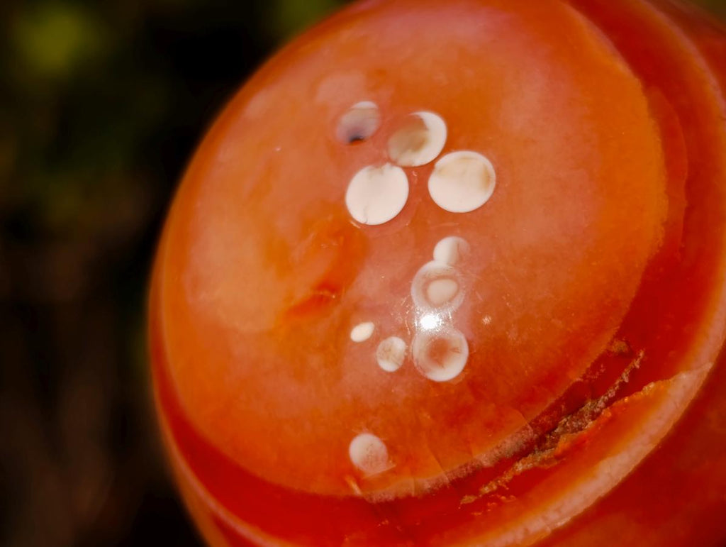 Polished Small Carnelian Agate Gemstone Spheres x 12 From Madagascar - Toprock Gemstones and Minerals 