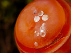 Polished Small Carnelian Agate Gemstone Spheres x 12 From Madagascar - Toprock Gemstones and Minerals 