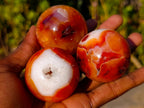 Polished Small Carnelian Agate Gemstone Spheres x 12 From Madagascar - Toprock Gemstones and Minerals 