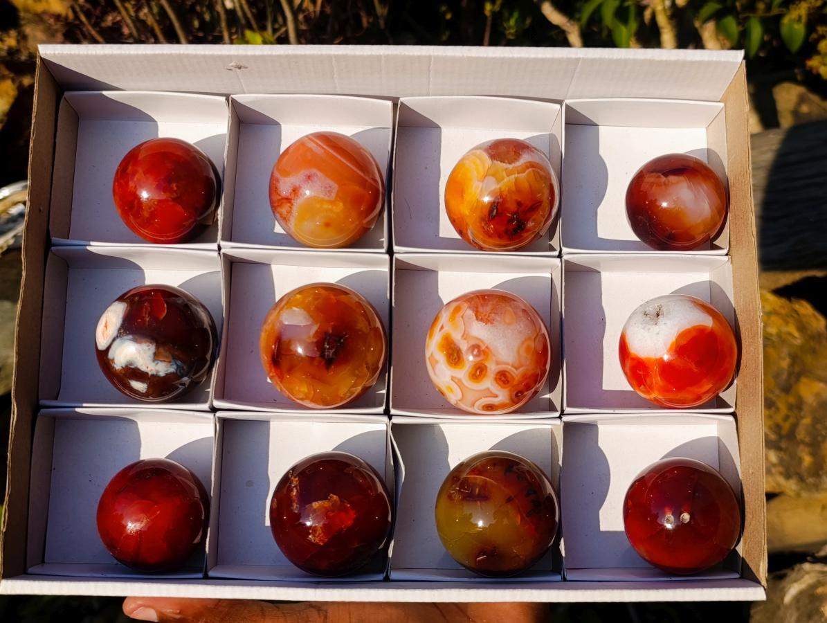 Polished Small Carnelian Agate Gemstone Spheres x 12 From Madagascar - Toprock Gemstones and Minerals 