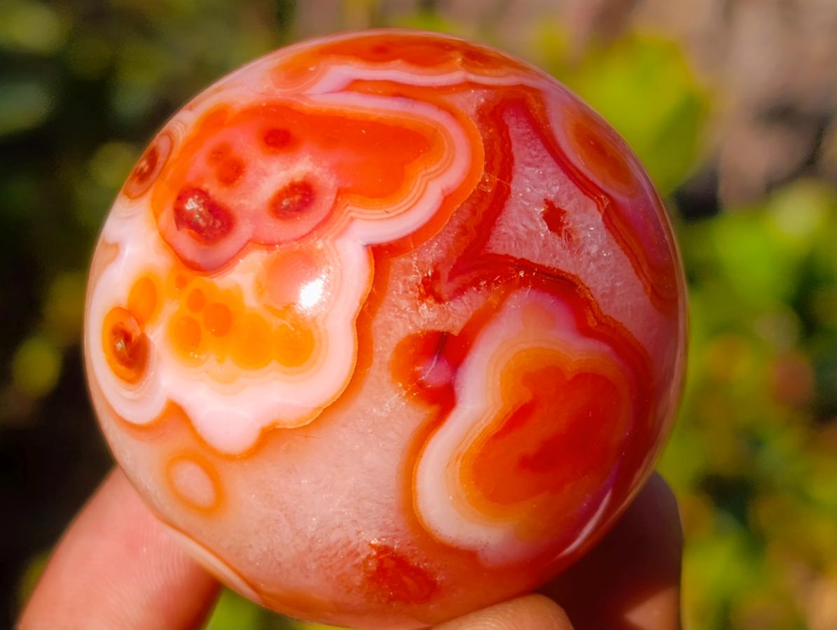 Polished Small Carnelian Agate Gemstone Spheres x 12 From Madagascar - Toprock Gemstones and Minerals 